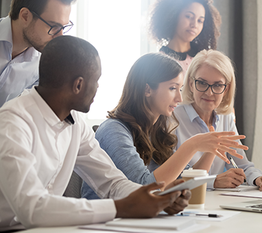 Professional Coach Training Program